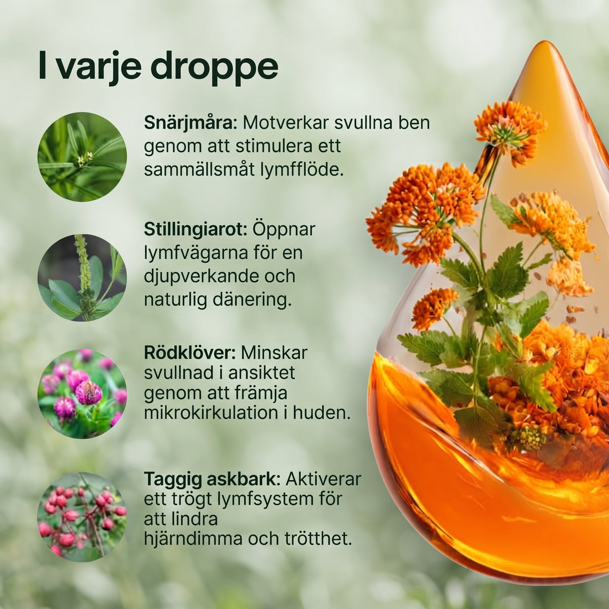 Lumi Drain - Droppar För Lymfdränage